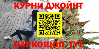 mdpv Заводоуковск