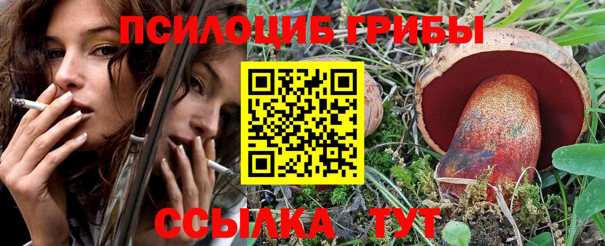 Псилоцибиновые грибы мицелий Лосино-Петровский