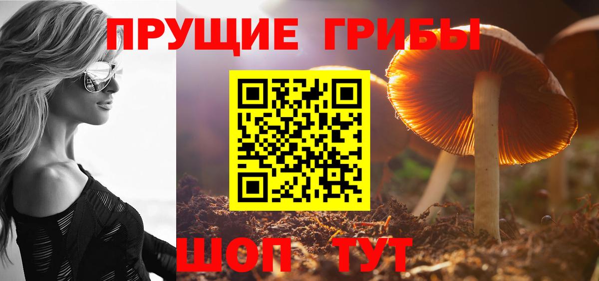 Лосино-Петровский  где найти   Вход с VPN  Галлюциногенные грибы Psilocybine cubensis 